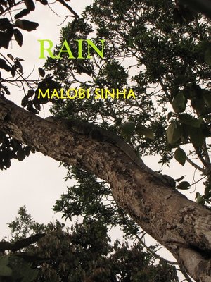 cover image of Rain